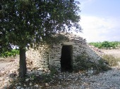 Capitelle in vineyard